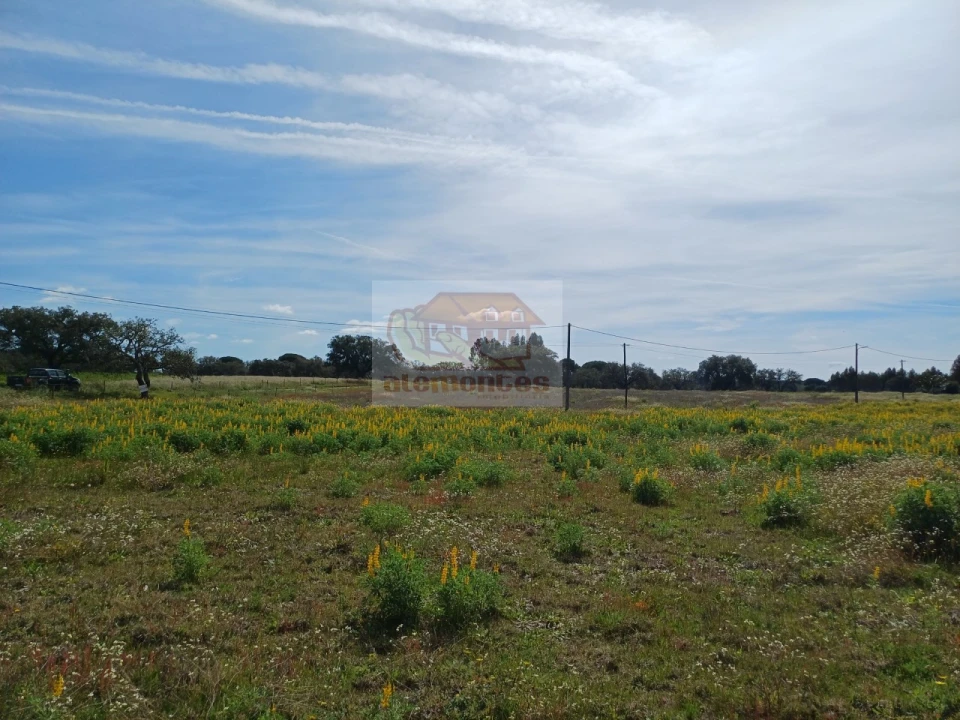 Terreno para Venda em Grândola e Santa Margarida da Serra Foto 8