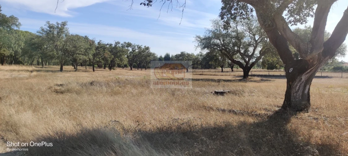 Terreno para Venda em Grândola e Santa Margarida da Serra Foto 3