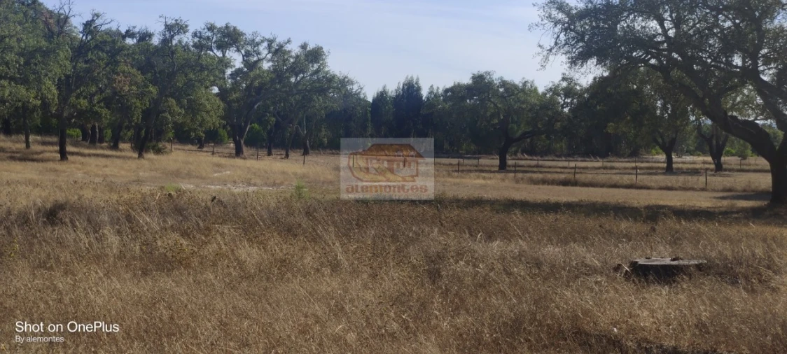 Terreno para Venda em Grândola e Santa Margarida da Serra Foto 5