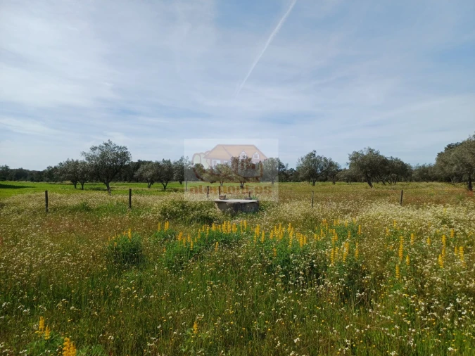 Terreno para Venda em Grândola e Santa Margarida da Serra Foto 2