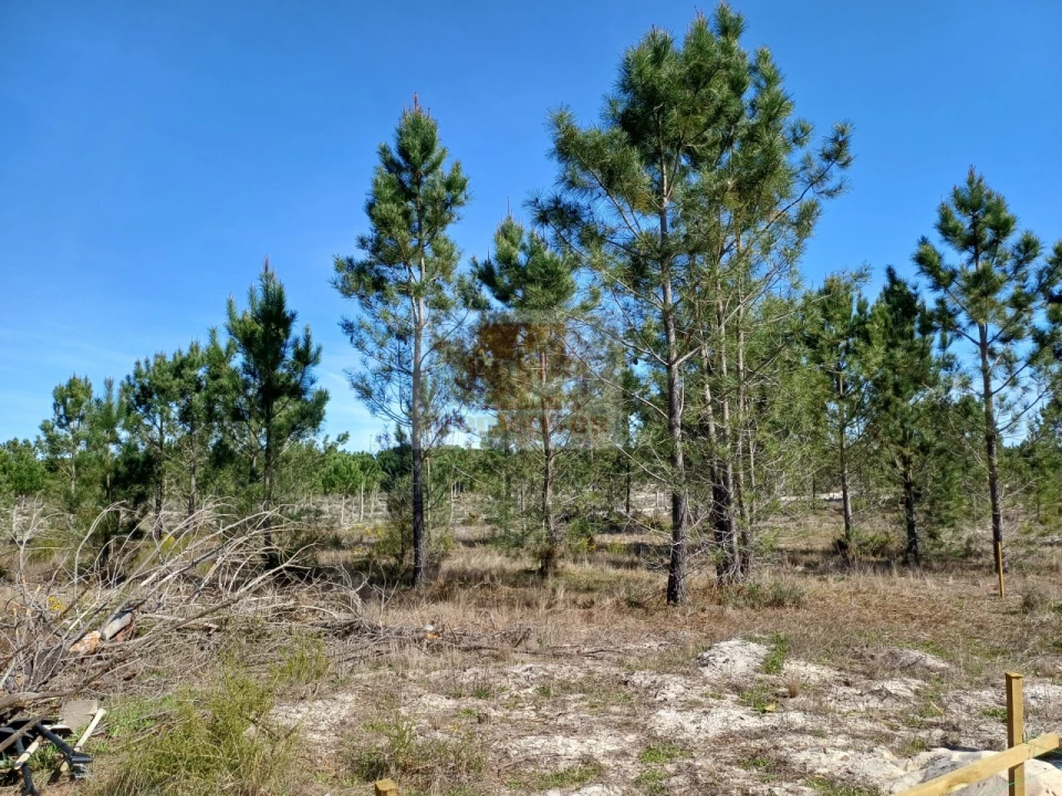 Terreno para Venda em Grândola e Santa Margarida da Serra Foto 2