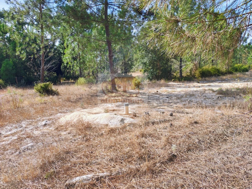 Terreno para Venda em Grândola e Santa Margarida da Serra Foto 6