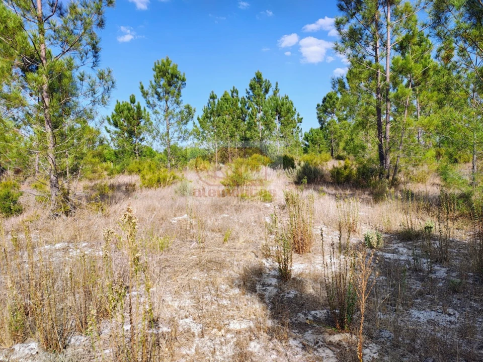 Terreno para Venda em Grândola e Santa Margarida da Serra Foto 7