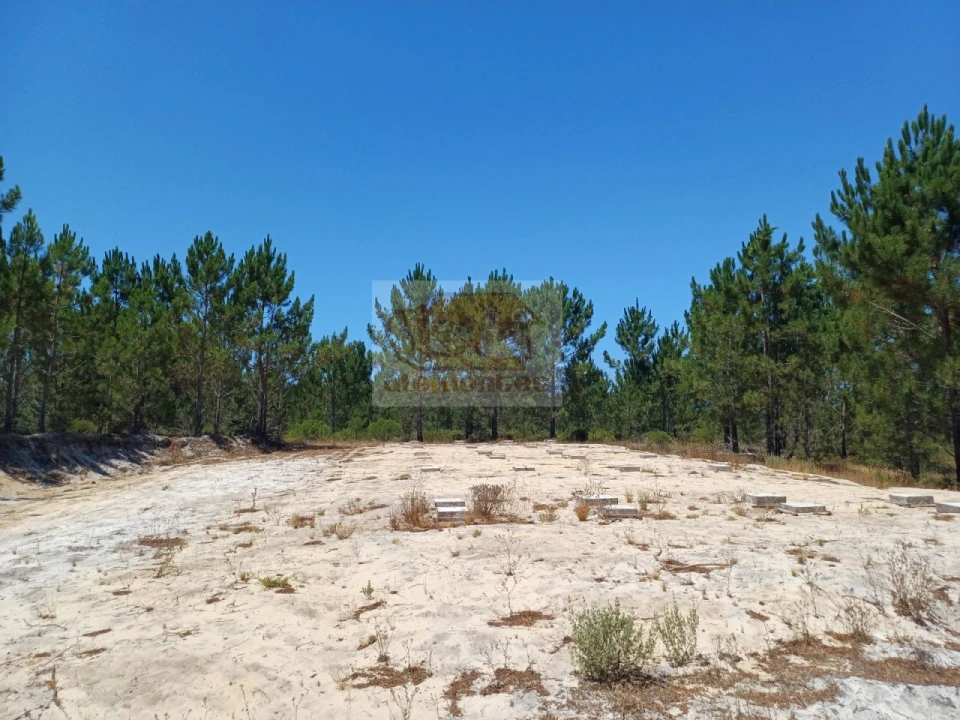 Terreno para Venda em Grândola e Santa Margarida da Serra Foto 2