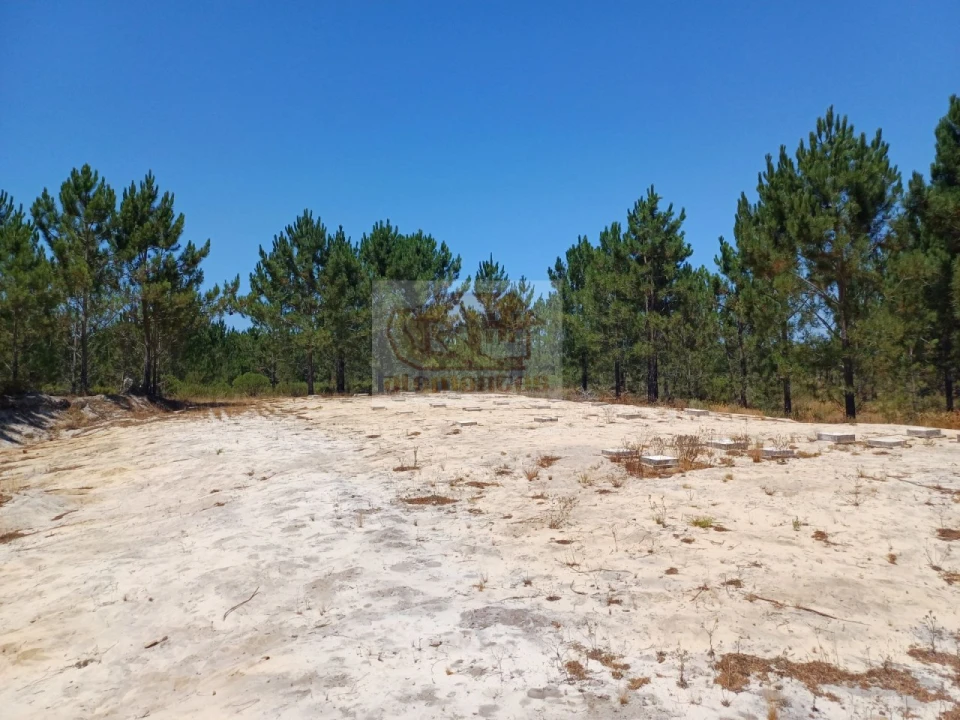 Terreno para Venda em Grândola e Santa Margarida da Serra Foto 15