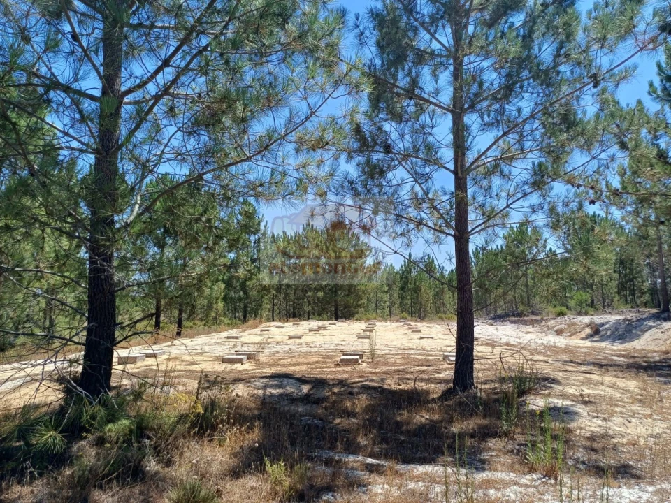 Terreno para Venda em Grândola e Santa Margarida da Serra Foto 7