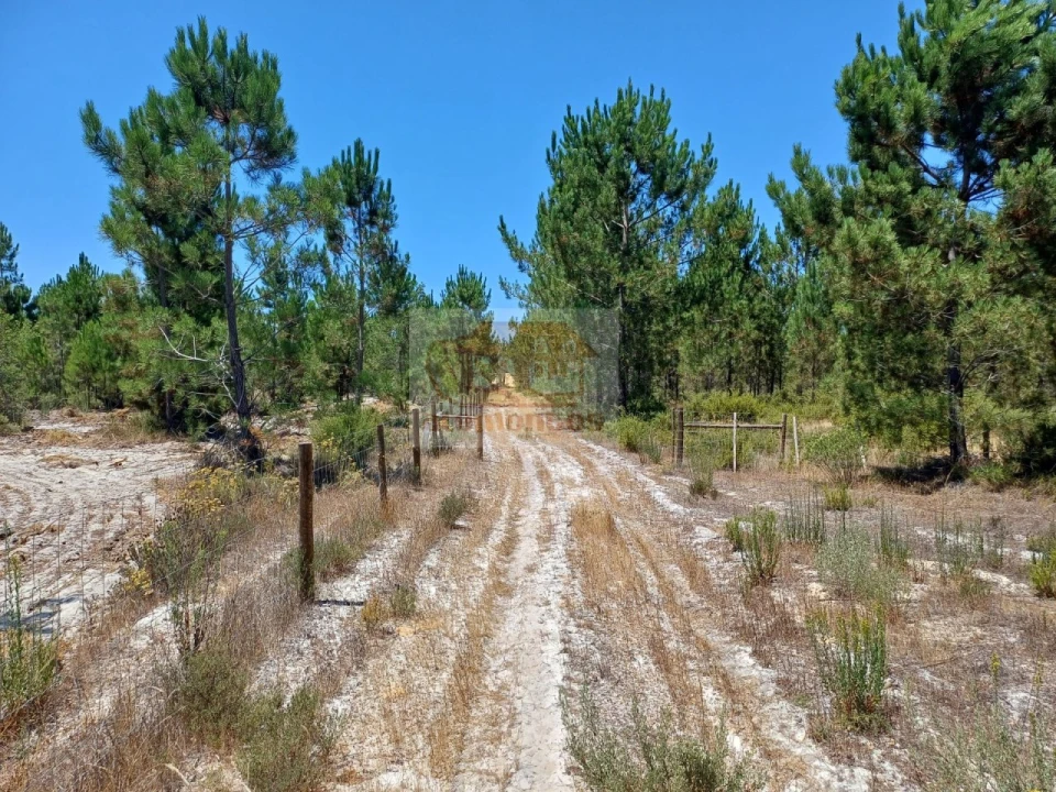 Terreno para Venda em Grândola e Santa Margarida da Serra Foto 17