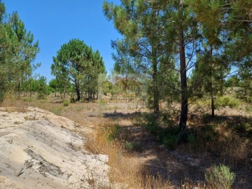 Terreno para Venda em Grândola e Santa Margarida da Serra