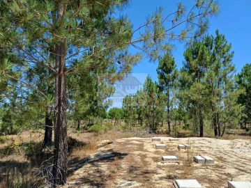 Terreno para Venda em Grândola e Santa Margarida da Serra