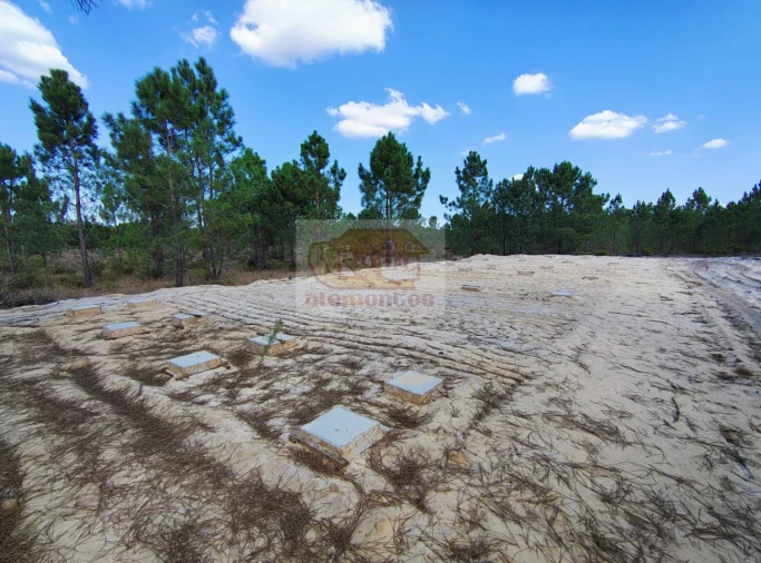 Terreno para Venda em Grândola e Santa Margarida da Serra Foto 3