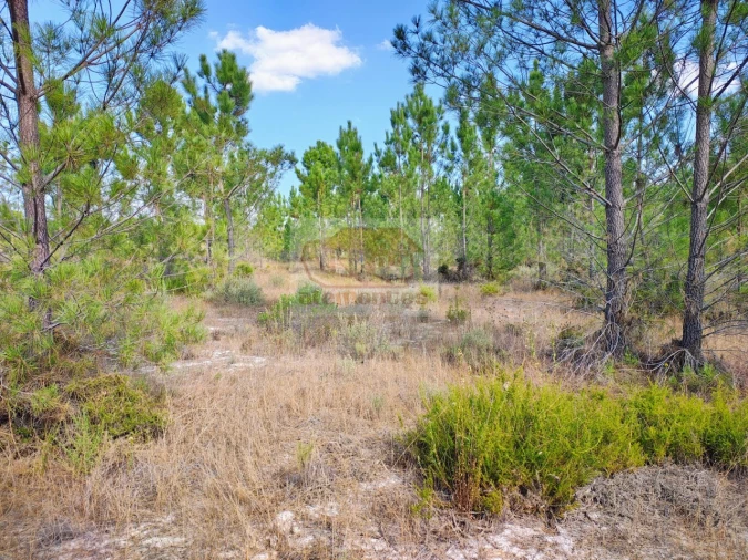 Terreno para Venda em Grândola e Santa Margarida da Serra Foto 10
