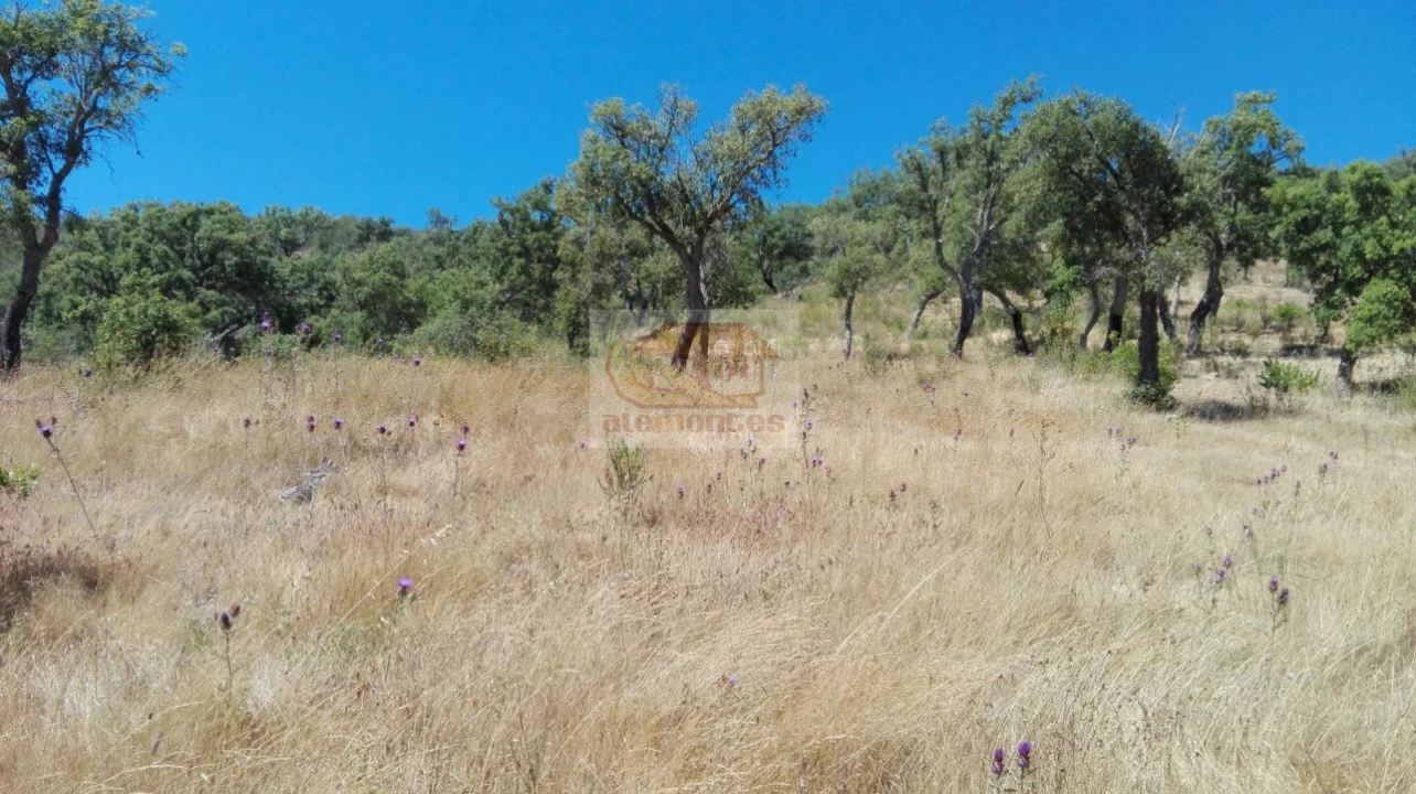 Terreno para Venda em Melides Foto 5