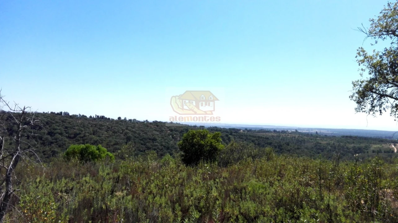 Terreno para Venda em Melides Foto 9