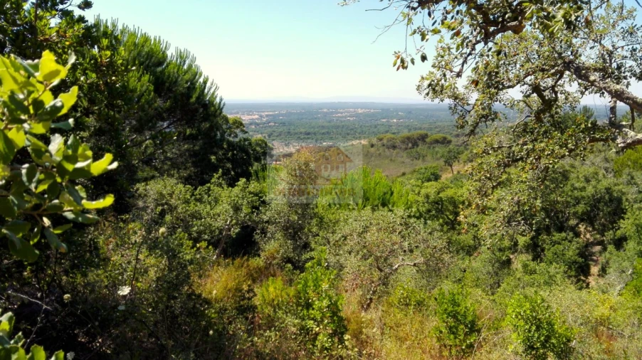 Terreno para Venda em Melides Foto 1
