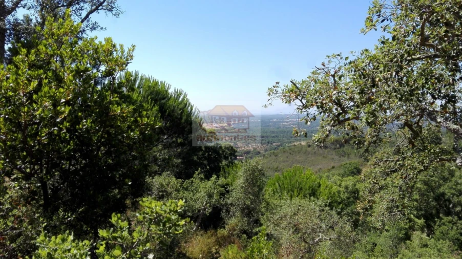 Terreno para Venda em Melides Foto 3