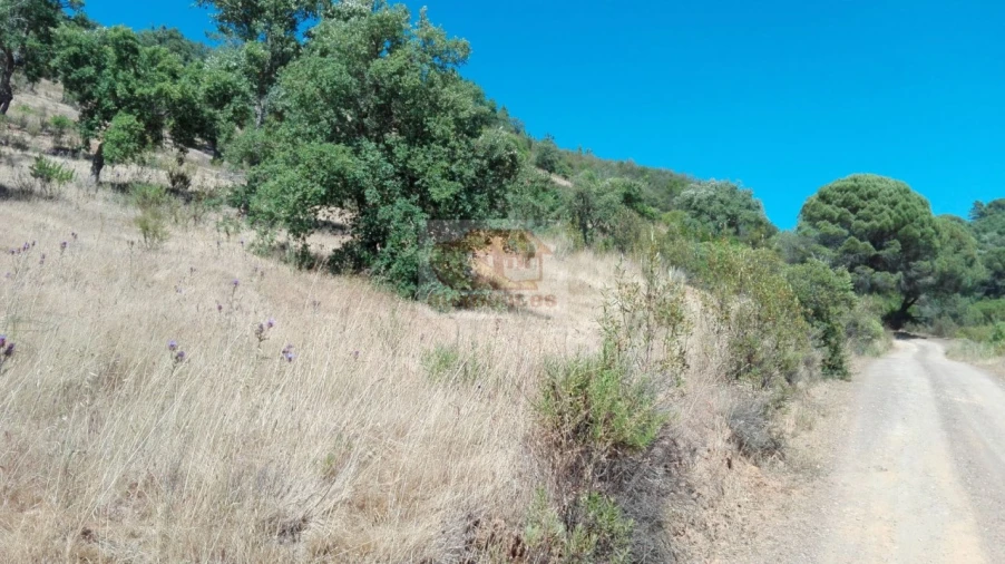 Terreno para Venda em Melides Foto 4