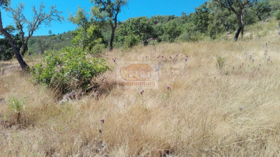 Terreno para Venda em Melides Foto 6