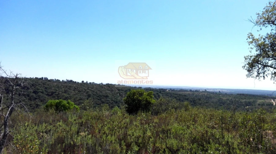 Terreno para Venda em Melides Foto 9