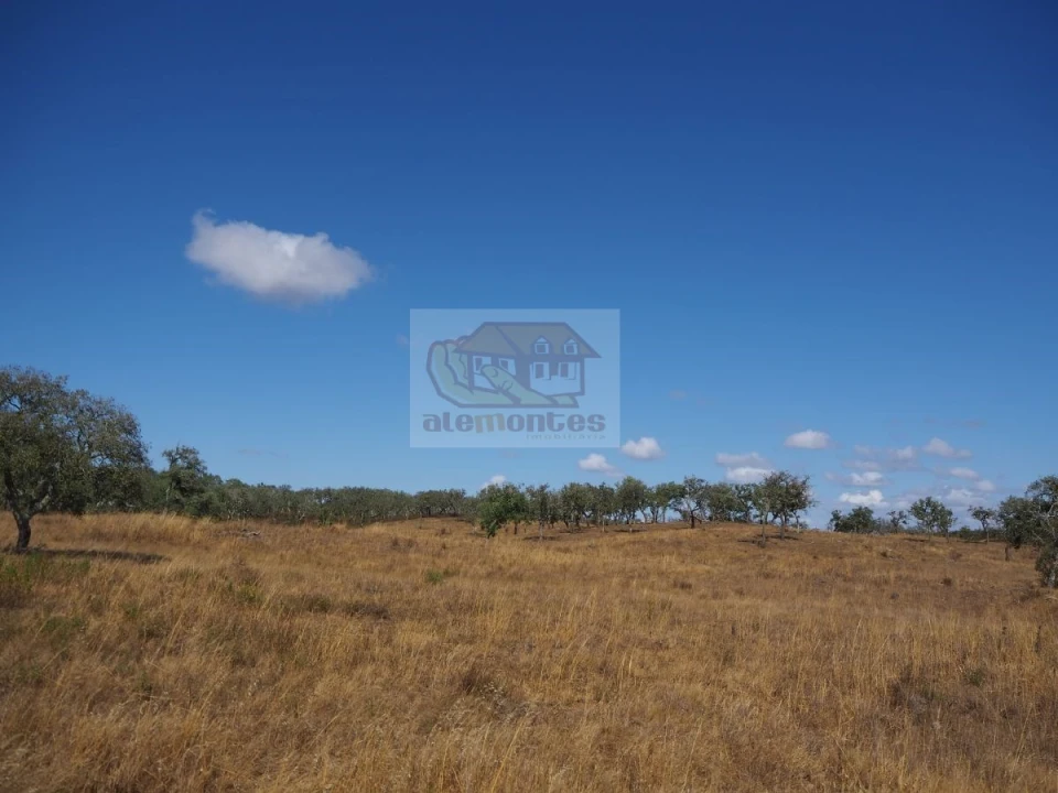 Terreno para Venda em Grândola e Santa Margarida da Serra Foto 2