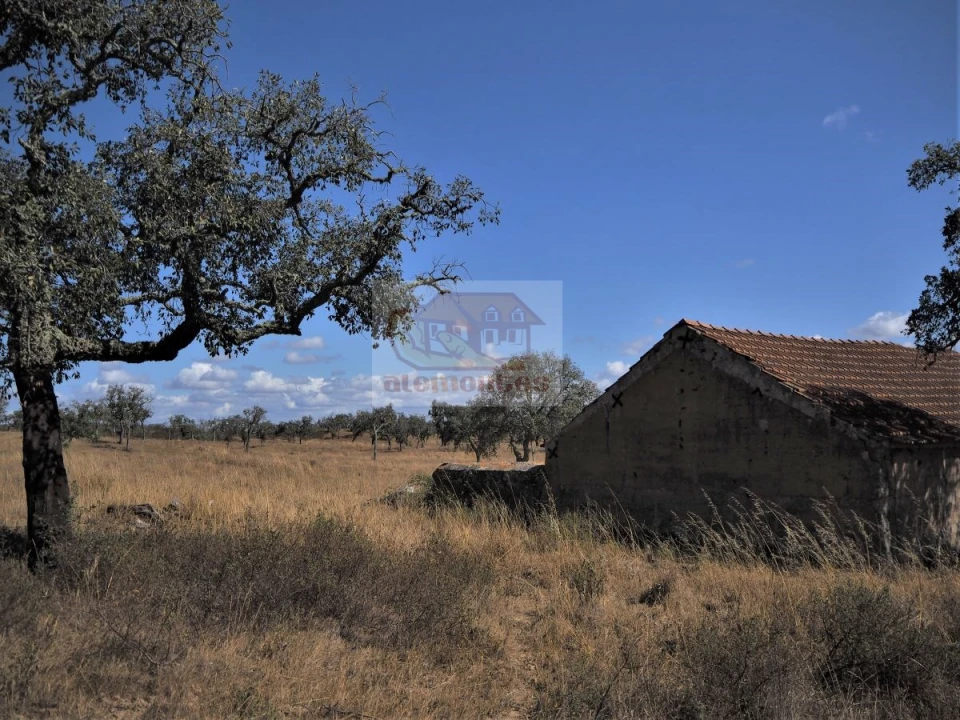 Terreno para Venda em Grândola e Santa Margarida da Serra Foto 5