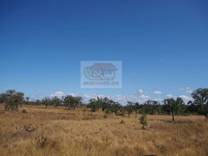 Terreno para Venda em Grândola e Santa Margarida da Serra Foto 3