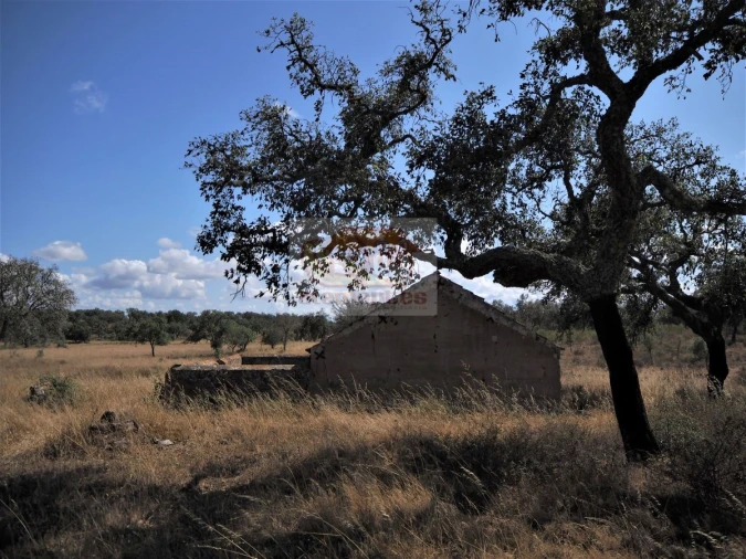 Terreno para Venda em Grândola e Santa Margarida da Serra Foto 4
