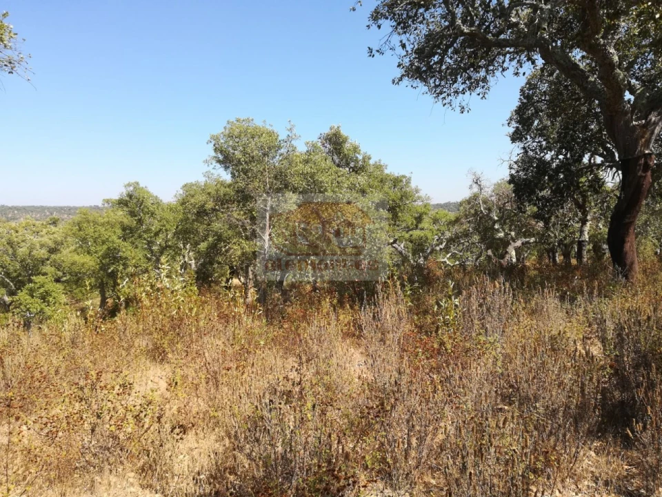 Terreno para Venda em Grândola e Santa Margarida da Serra Foto 1