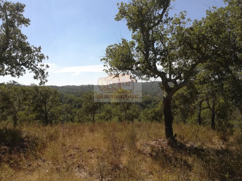 Terreno para Venda em Grândola e Santa Margarida da Serra Foto 3