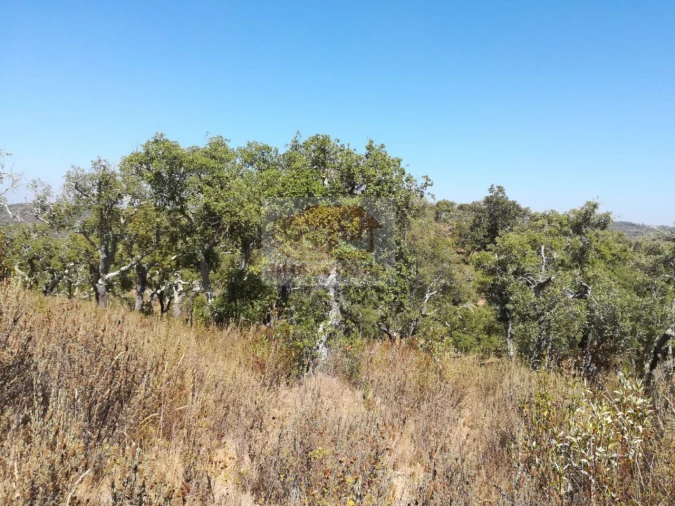 Terreno para Venda em Grândola e Santa Margarida da Serra Foto 8