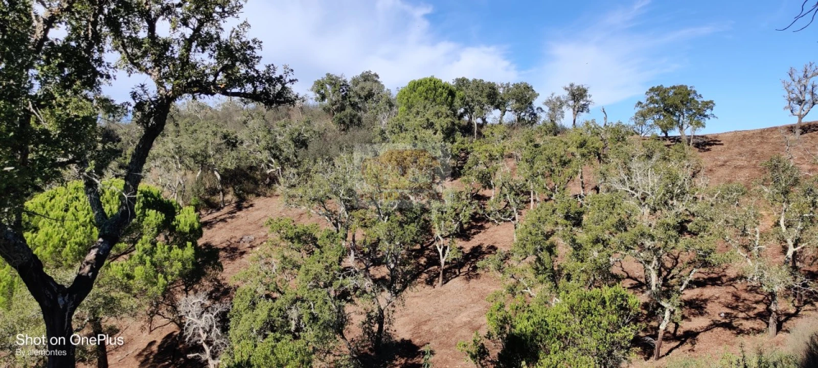 Terreno para Venda em São Francisco da Serra Foto 2