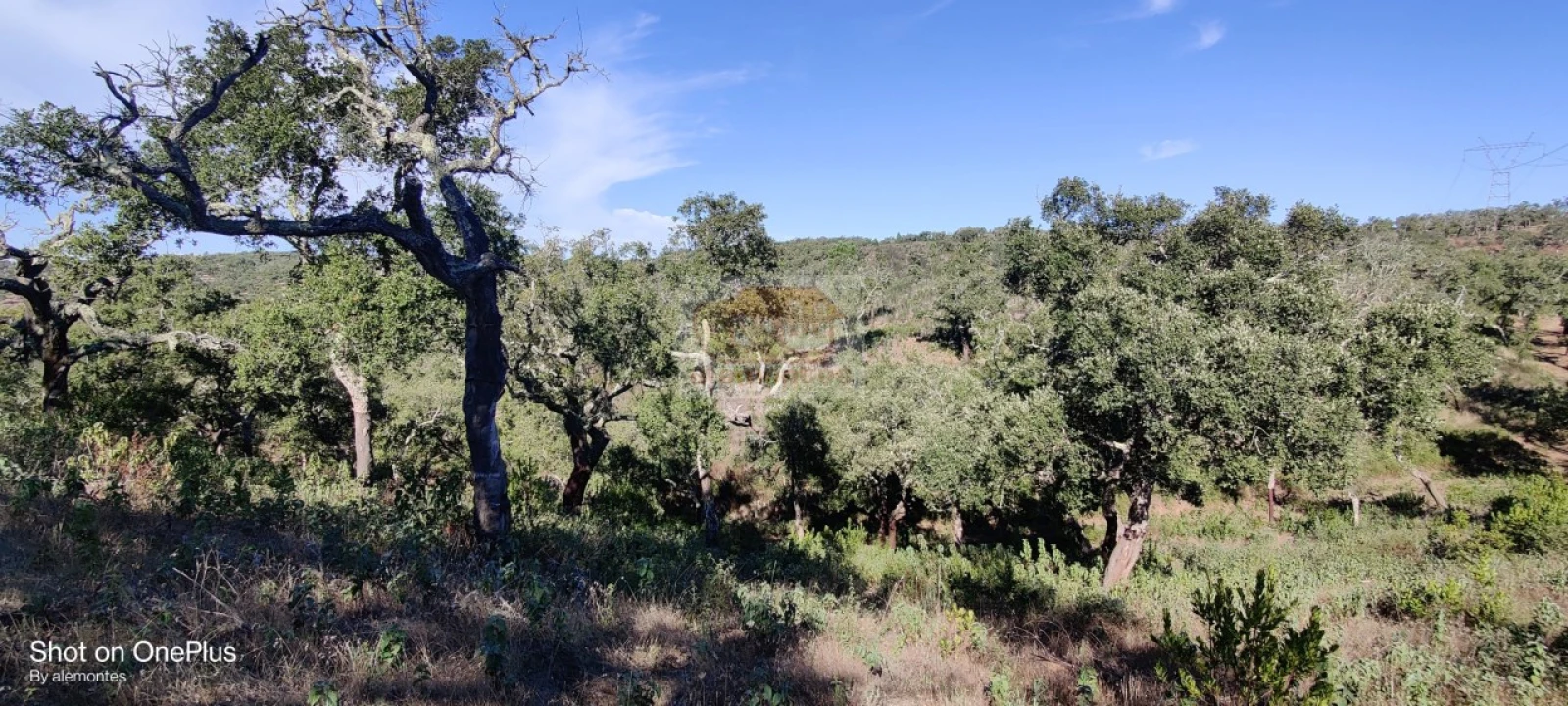 Terreno para Venda em São Francisco da Serra Foto 9
