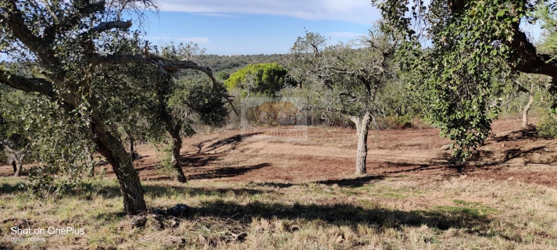 Terreno para Venda em São Francisco da Serra Foto 1
