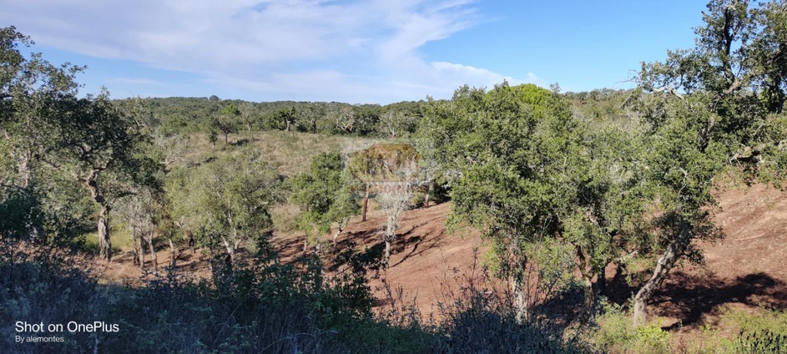 Terreno para Venda em São Francisco da Serra Foto 11