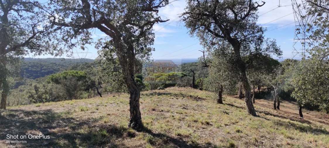 Terreno para Venda em São Francisco da Serra Foto 12