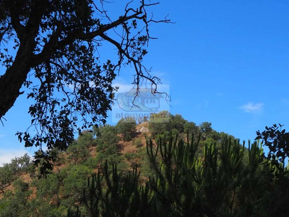 Terreno para Venda em São Francisco da Serra Foto 9