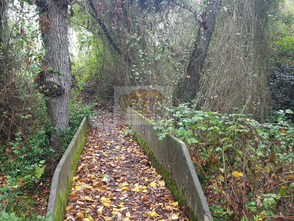 Terreno para Venda em São Francisco da Serra Foto 6