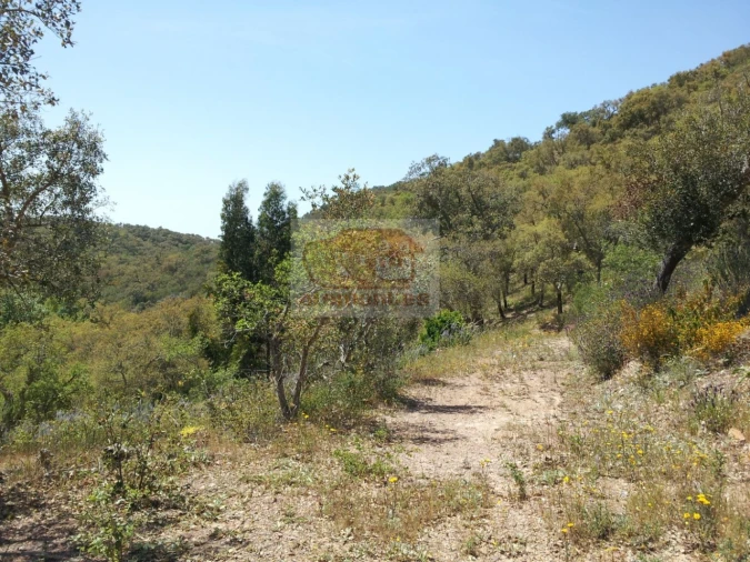 Terreno para Venda em São Francisco da Serra Foto 12