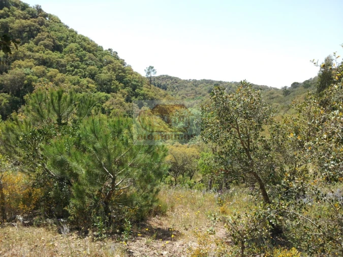 Terreno para Venda em São Francisco da Serra Foto 2
