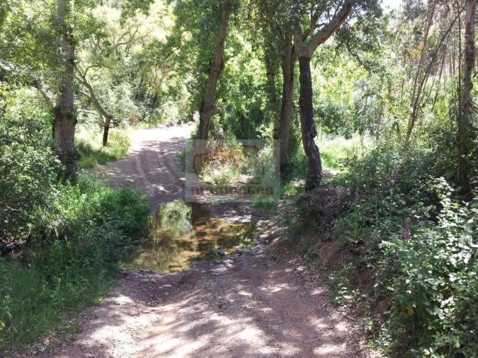 Terreno para Venda em São Francisco da Serra Foto 5