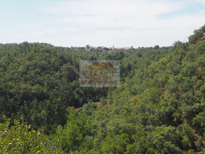 Terreno para Venda em São Francisco da Serra Foto 8
