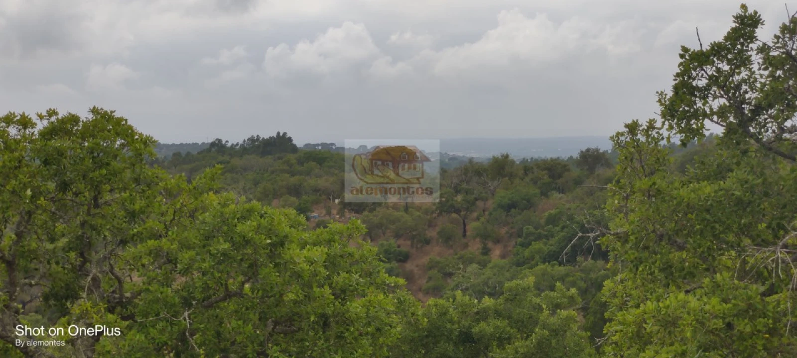 Terreno para Venda em Melides Foto 2