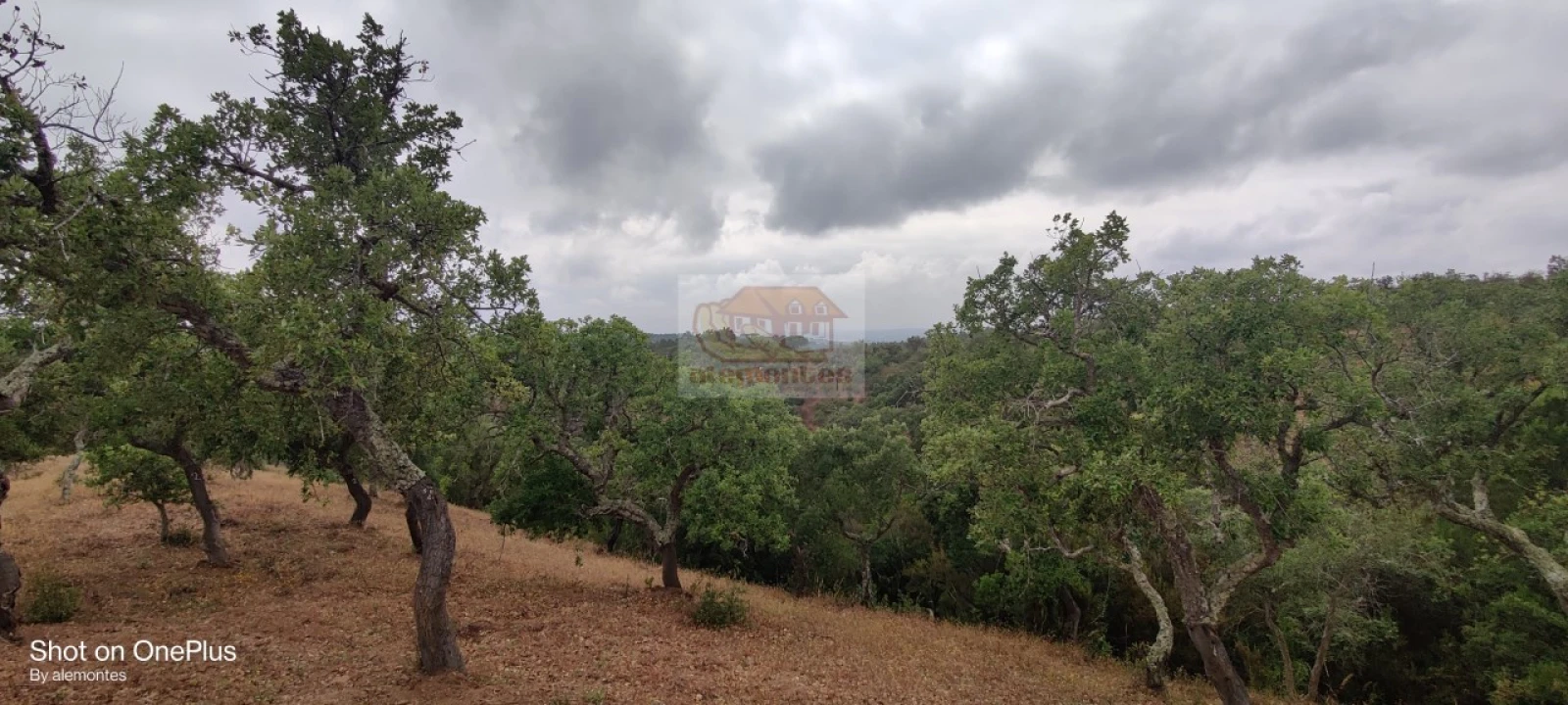 Terreno para Venda em Melides Foto 6