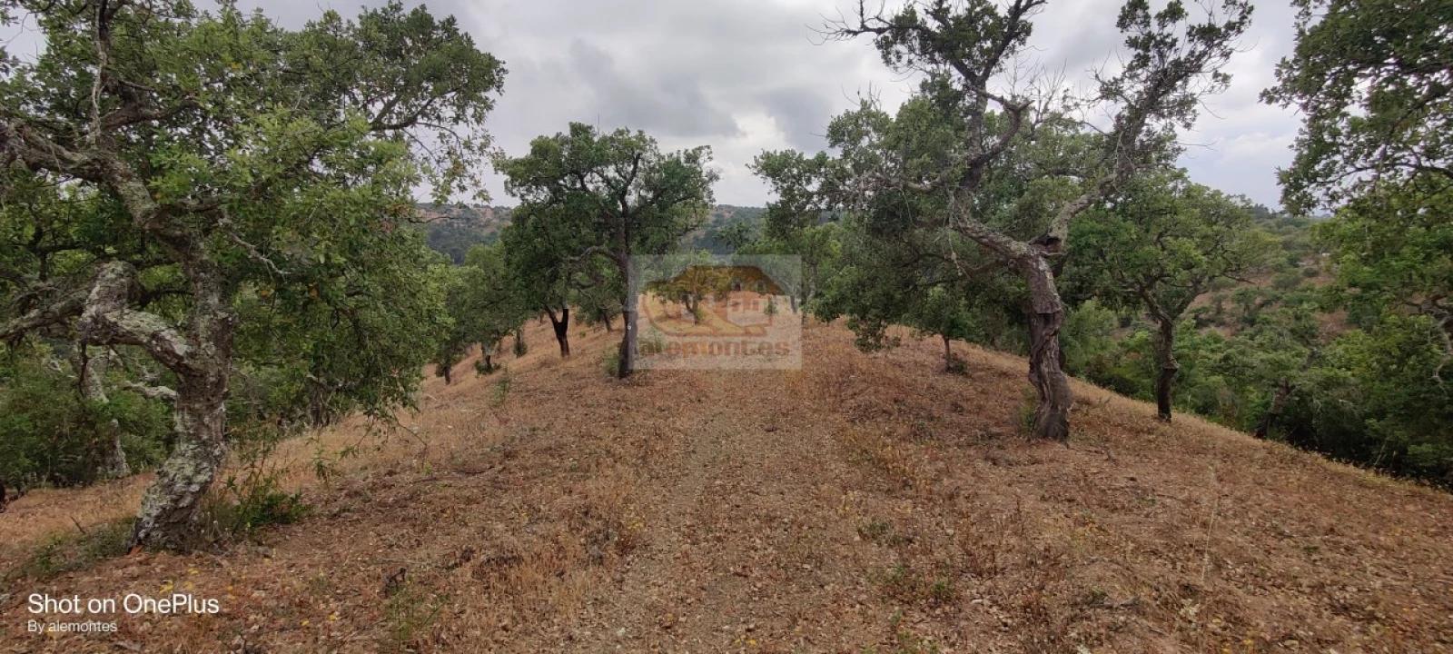Terreno para Venda em Melides Foto 7
