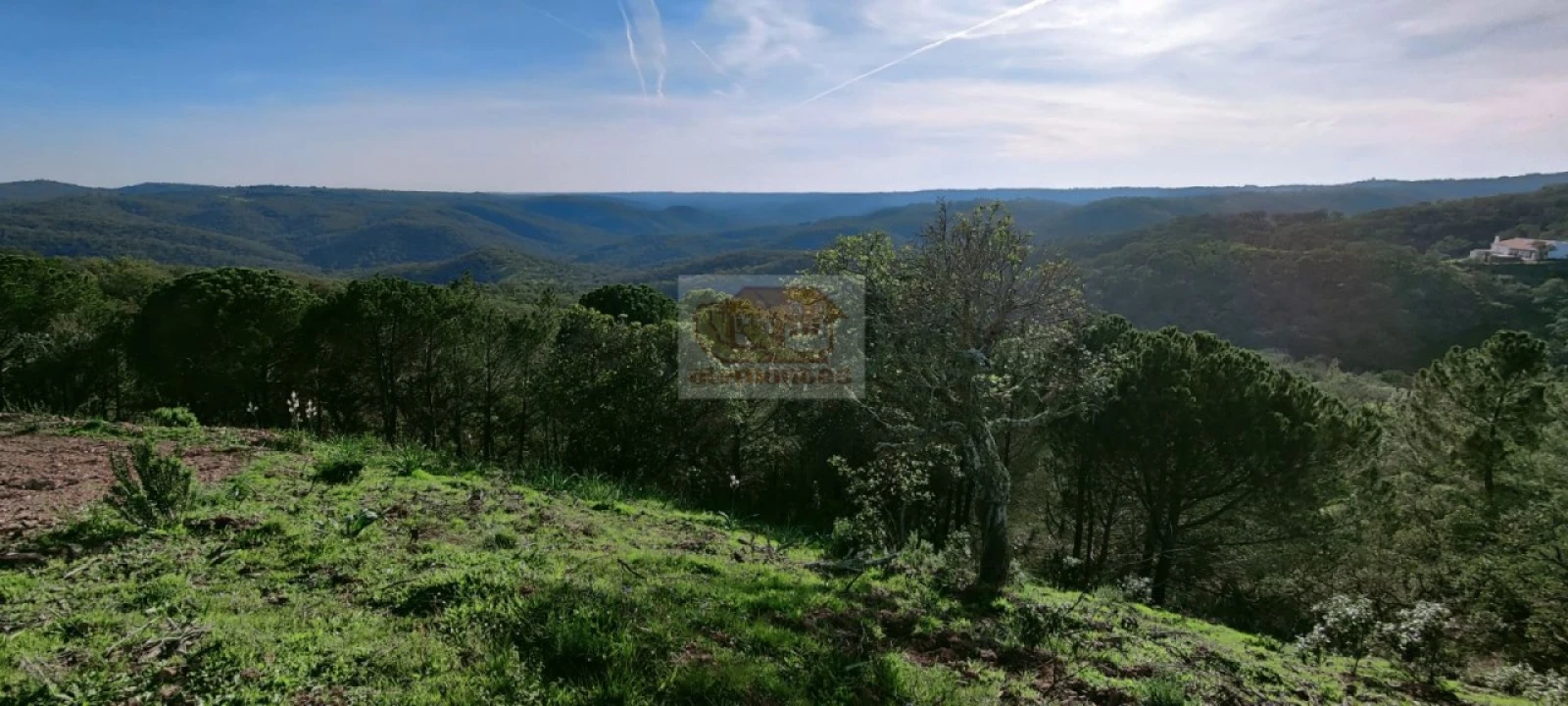 Terreno para Venda em Grândola e Santa Margarida da Serra Foto 6