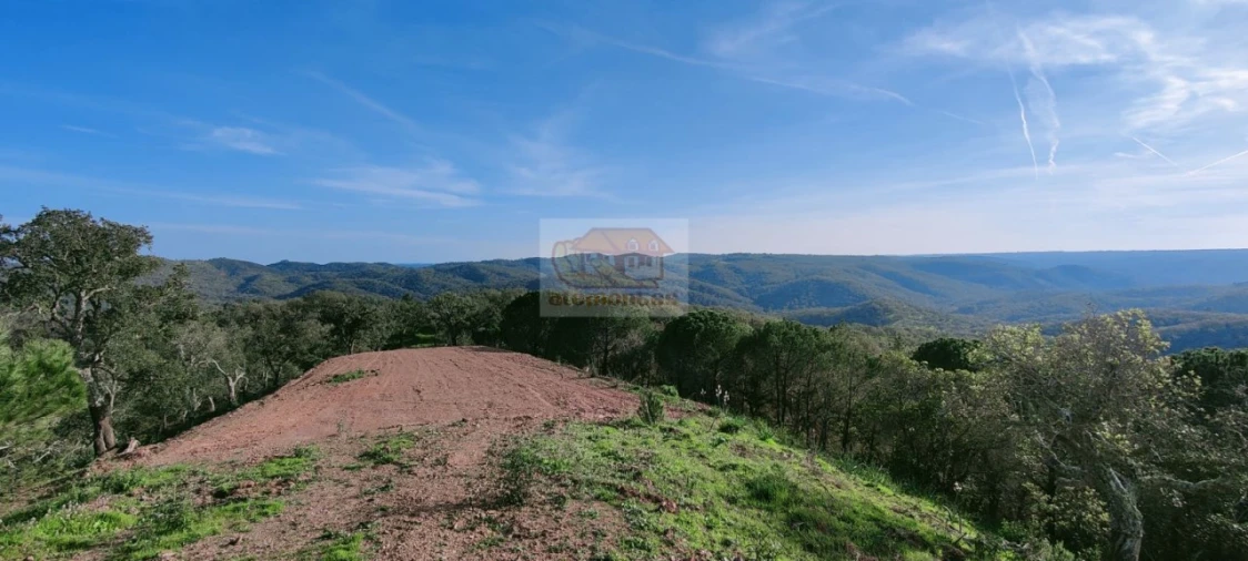 Terreno para Venda em Grândola e Santa Margarida da Serra Foto 1