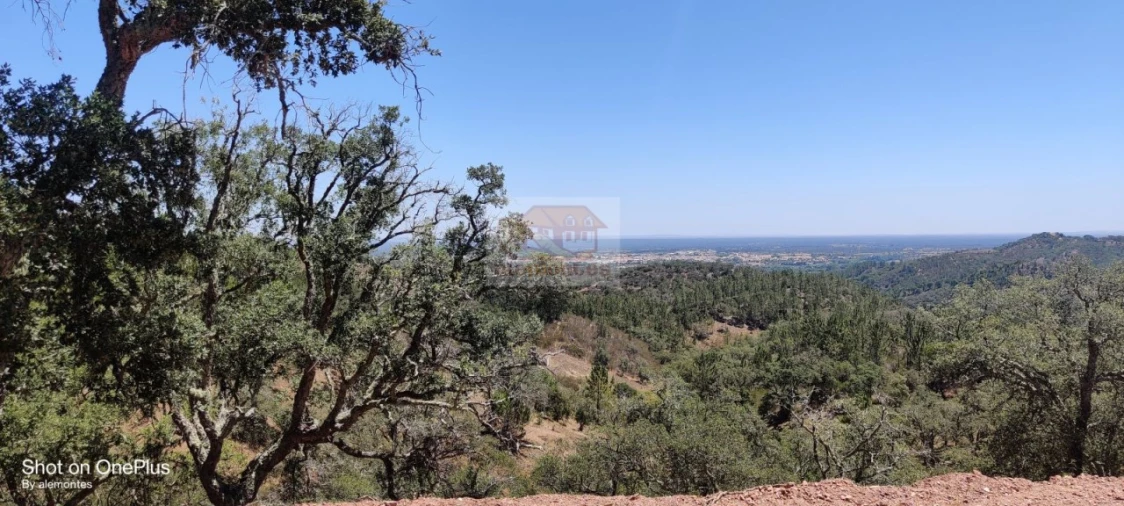 Terreno para Venda em Grândola e Santa Margarida da Serra Foto 7