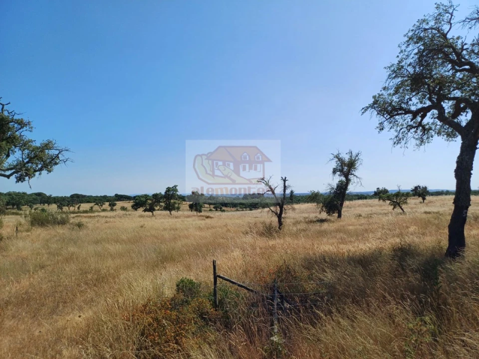 Terreno para Venda em Abela Foto 6