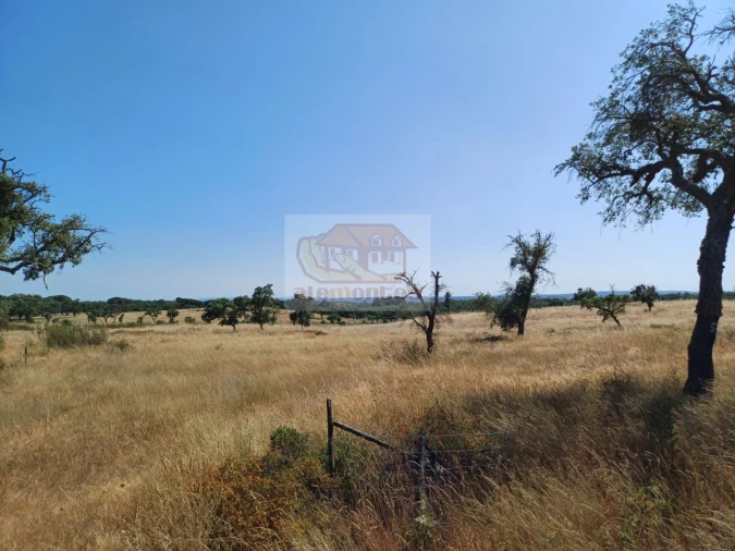Terreno para Venda em Abela Foto 6