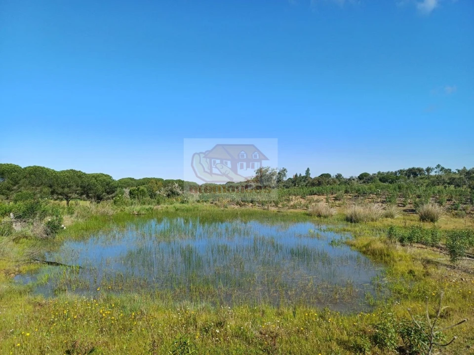 Terreno para Venda em Melides Foto 5