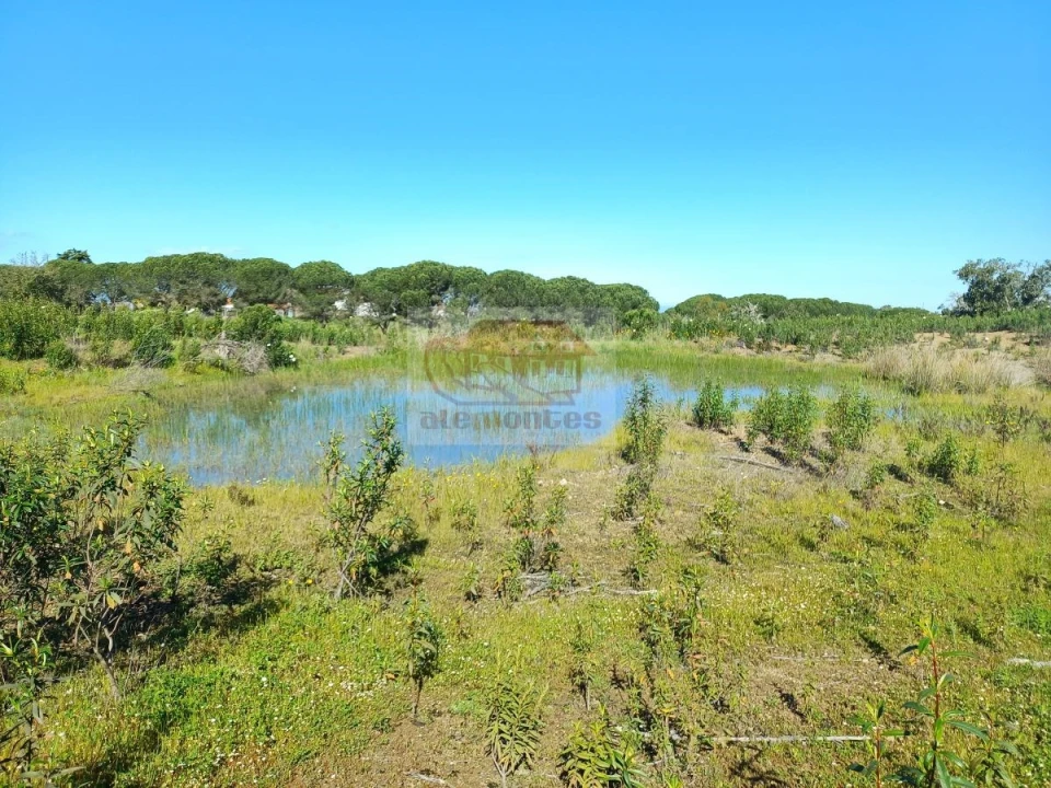 Terreno para Venda em Melides Foto 11